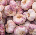 ElComino Garlic