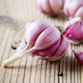 Spanish Roja Garlic